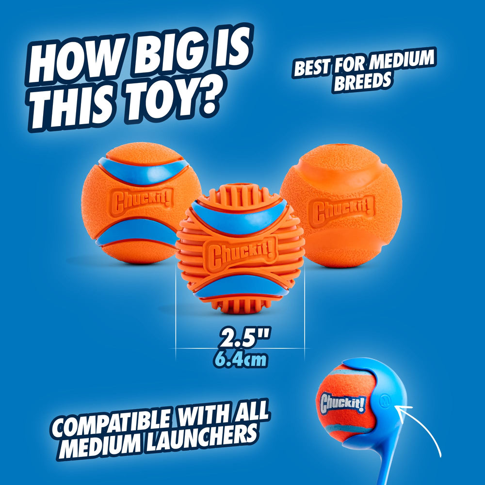 Chuckit Rugged Ball textured ridges engage gums and add tactile play during fetch.