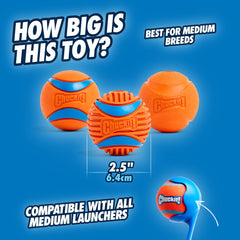 Chuckit Rugged Ball textured ridges engage gums and add tactile play during fetch.