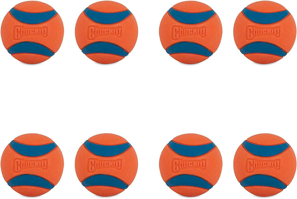 ChuckIt! Ultra Ball bounce-durability showcases long-lasting fetch sessions.