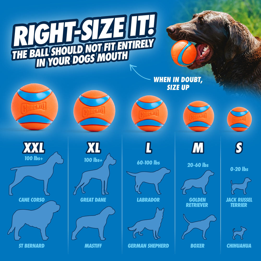 Chuckit! Ultra Ball catching pose emphasizes easy mouth grip for dogs.