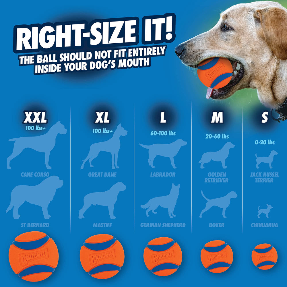 ChuckIt! Ultra Ball easy-clean surface simplifies slobber and dirt wipe-down.