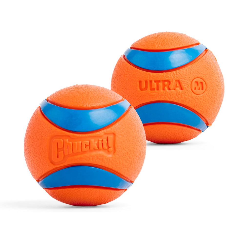 Chuckit! Ultra Ball not a chew toy; safety-conscious play reminder.