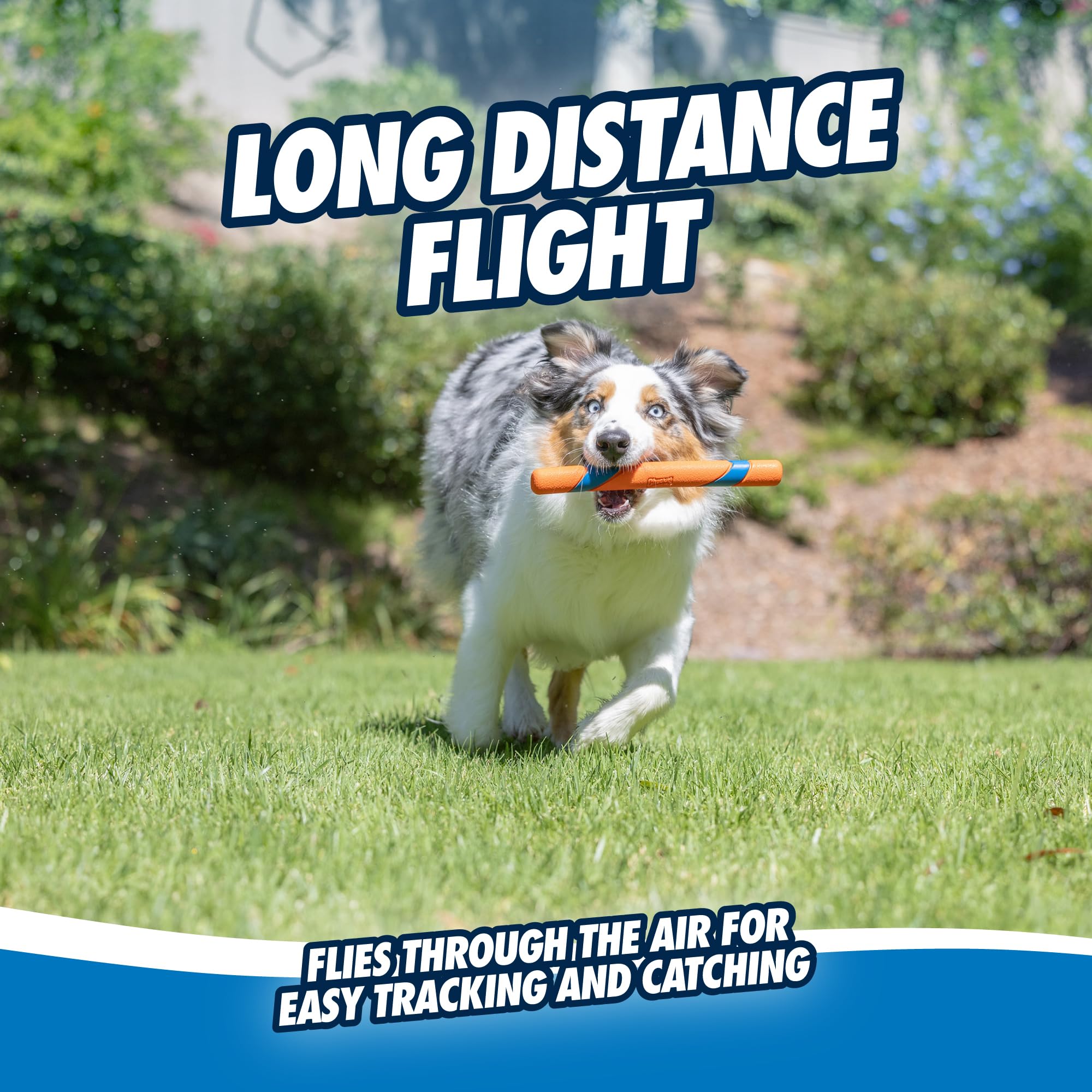 Chuckit! Ultra Fetch Stick in action for high-energy outdoor play.