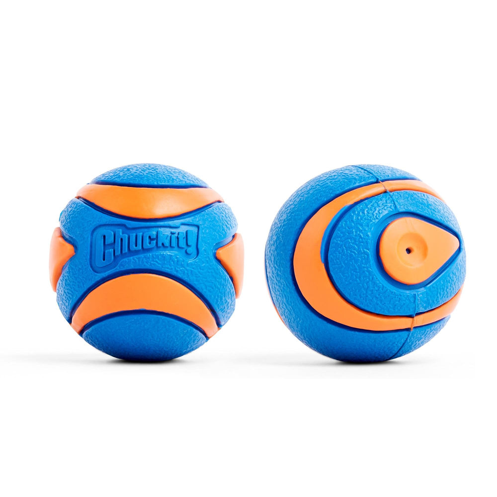 Chuckit! Ultra Squeaker Ball blue and orange colors improve visibility during outdoor play.