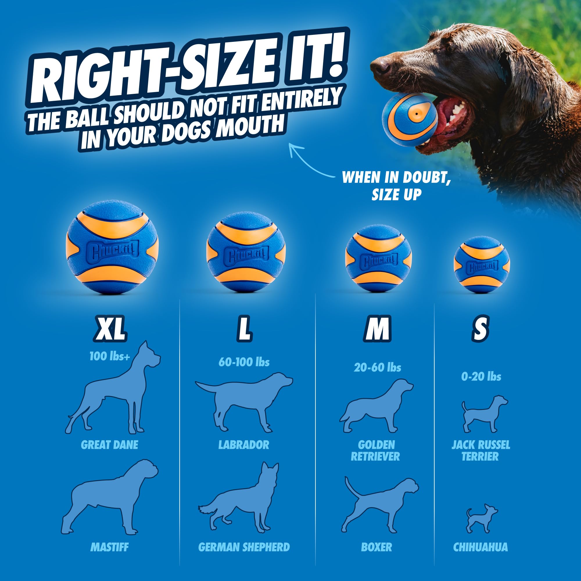 Chuckit! Ultra Squeaker Ball close-up shows durable rubber material for long-lasting chewing.