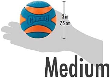 Chuckit Ultra Squeaker Ball in action with dog highlights audible feedback.