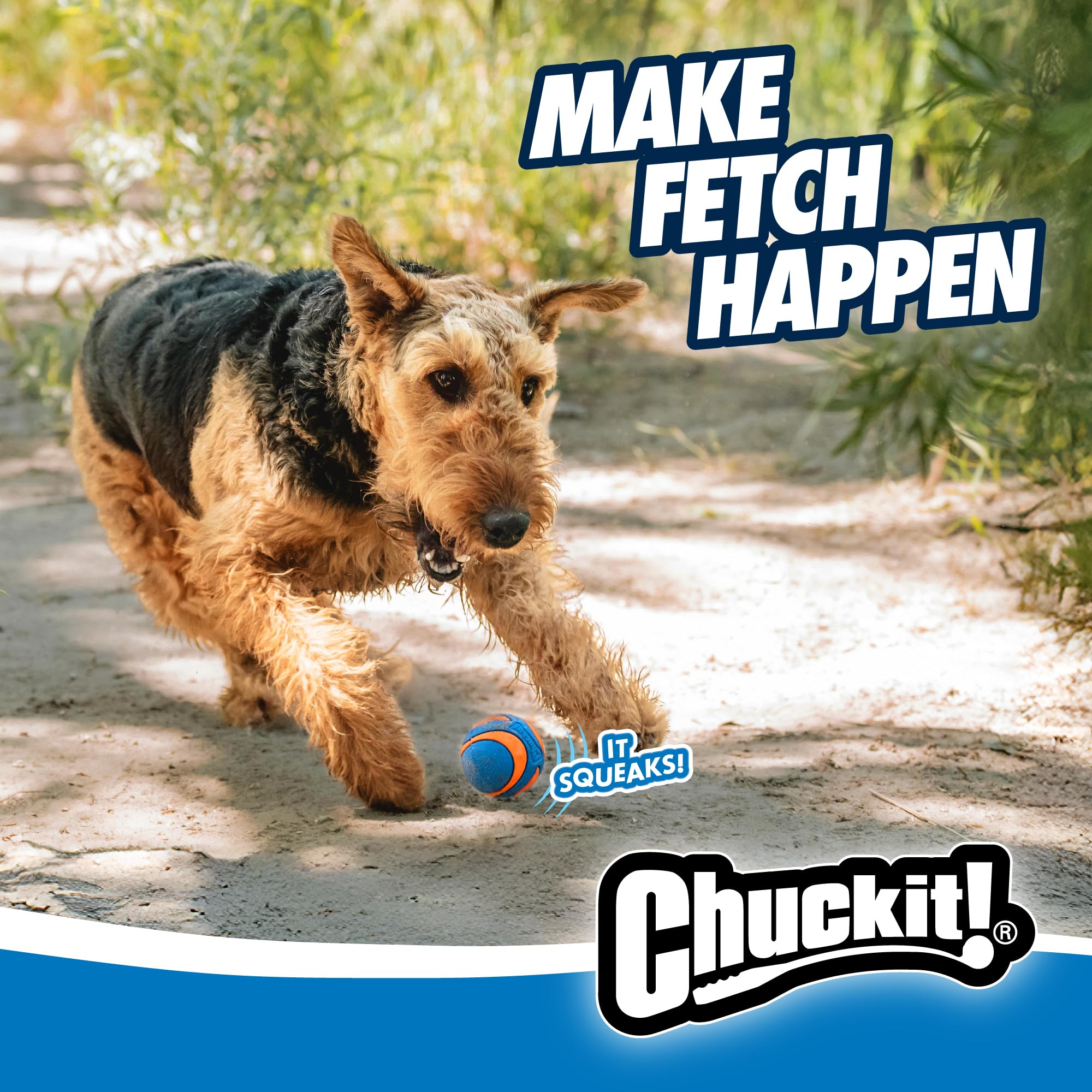 Chuckit! Ultra Squeaker Ball in action during easy-to-see water play and park fetch.