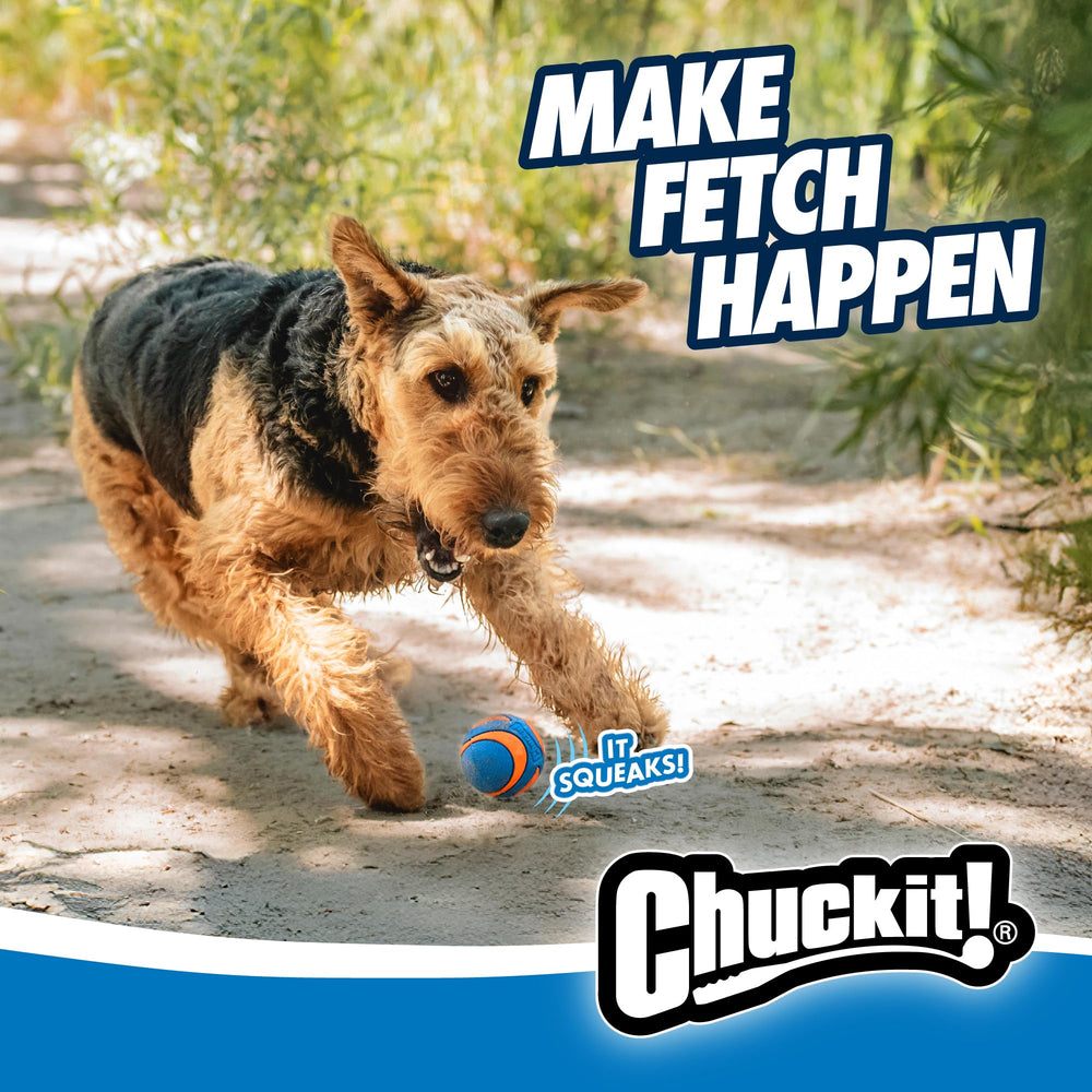 Chuckit! Ultra Squeaker Ball in action during easy-to-see water play and park fetch.