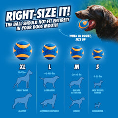 Chuckit Ultra Squeaker Ball XL mouth close-up showing a soft surface for gentle bites
