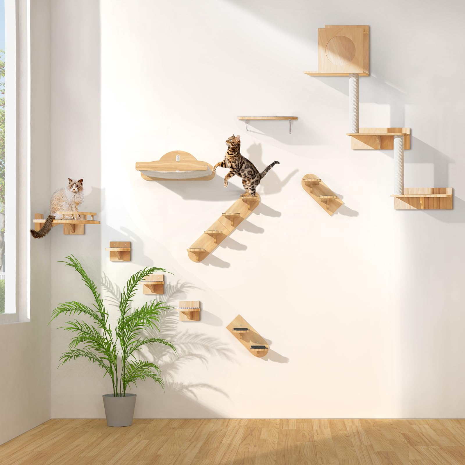 Chuiendi cat perches encourage daily exploration and relaxed naps.