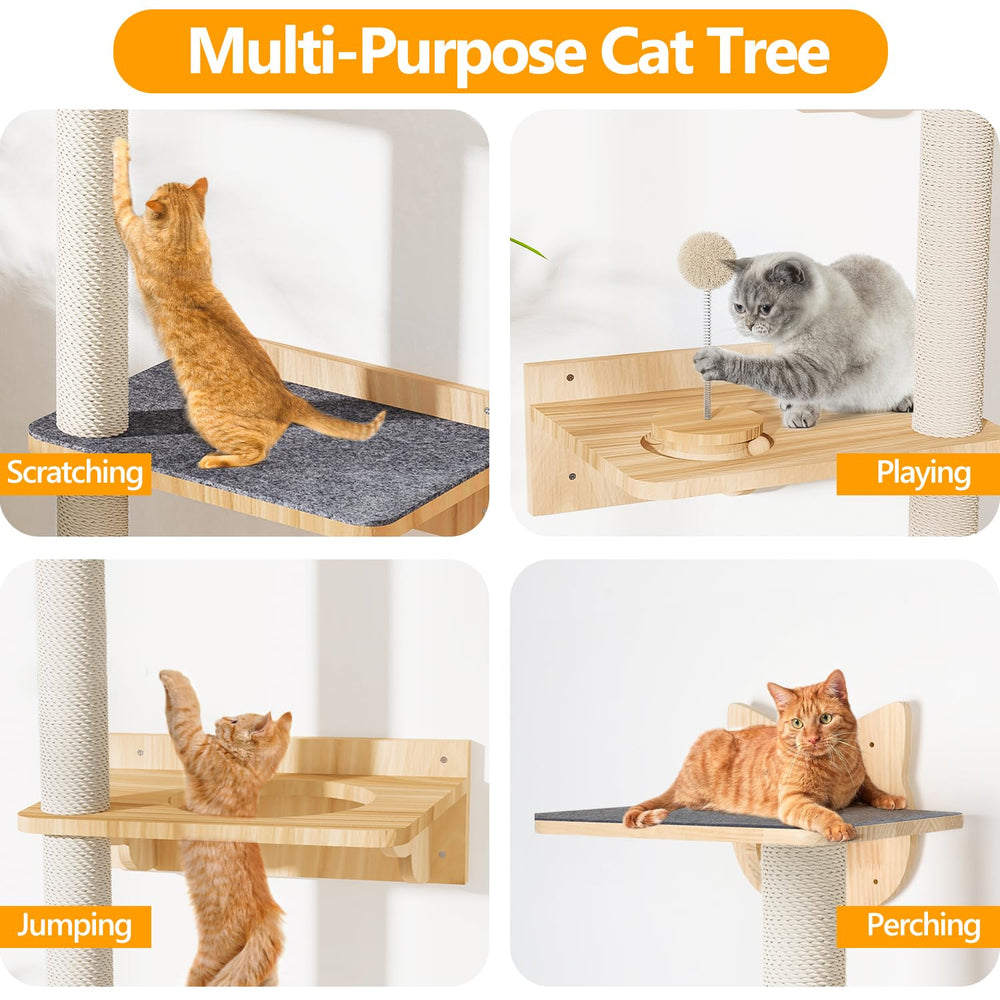 Chuiendi cat shelves wood track ball image demonstrates interactive play