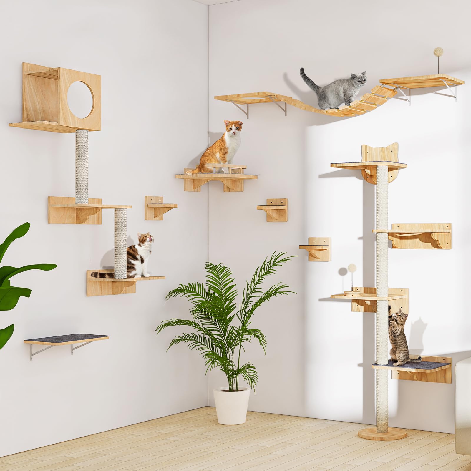 Chuiendi Cat Wall Hammock installation steps image shows quick assembly and wall mounting.