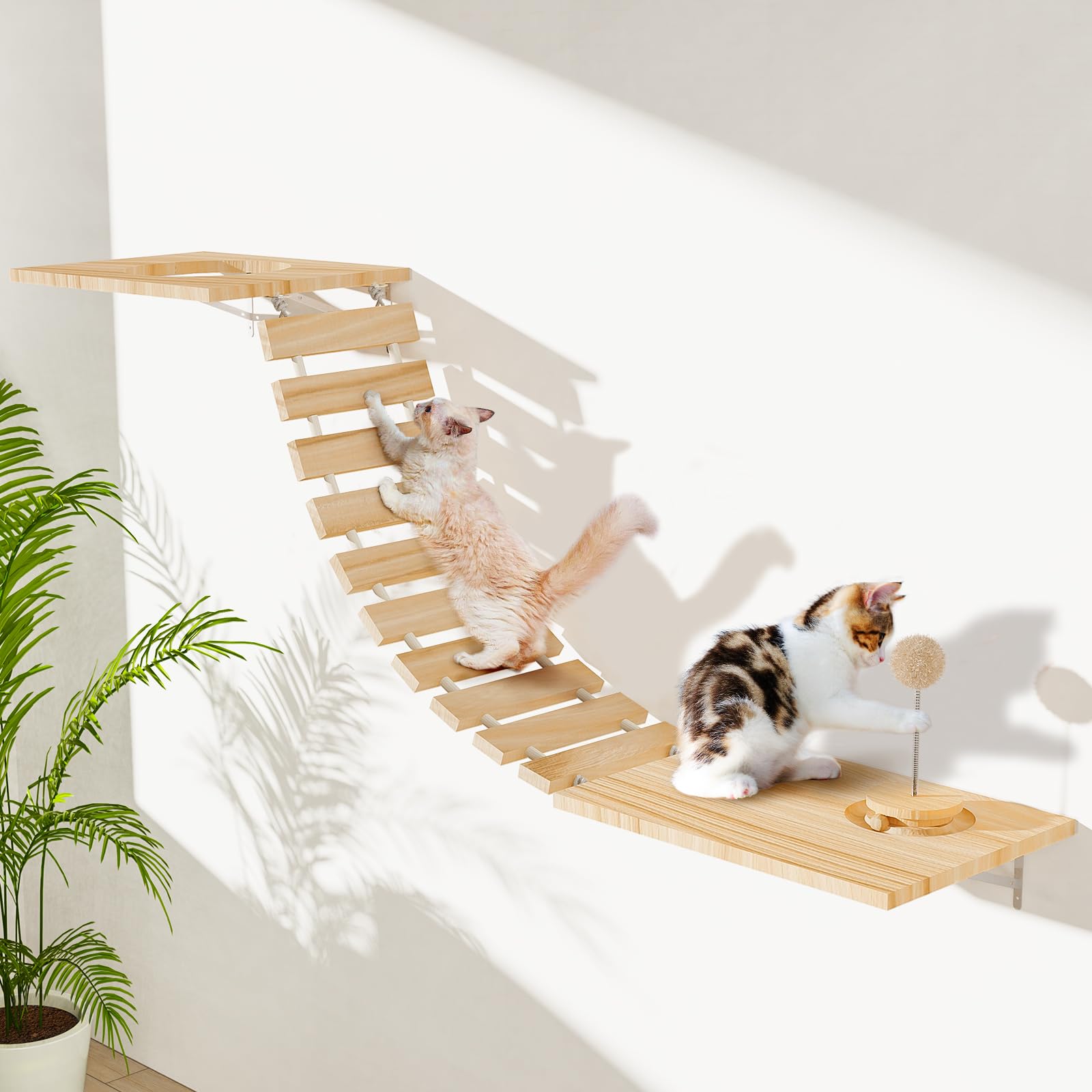 Chuiendi Cat Wall Hammock main view highlights sturdy space-saving climbing system for vertical play.