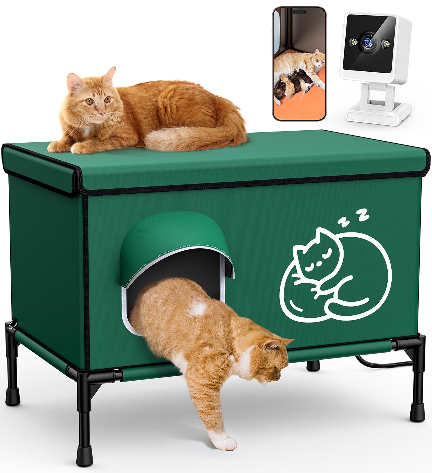 Chumajor safe escape entrance cat house to reduce predator risk.