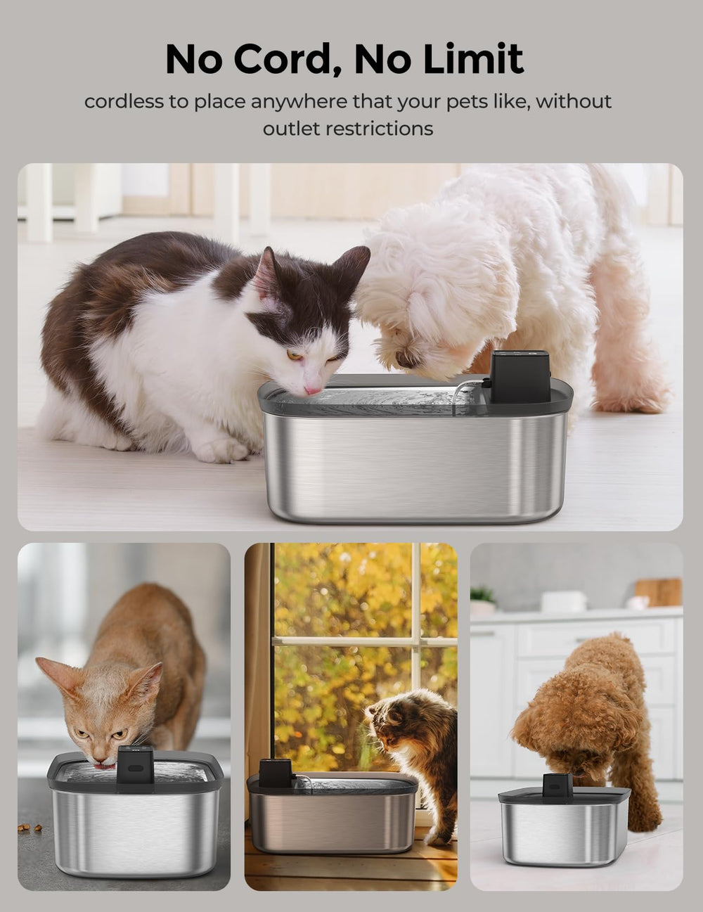 Chumajor water fountain motion-sensor detects pets for touch-free hydration.