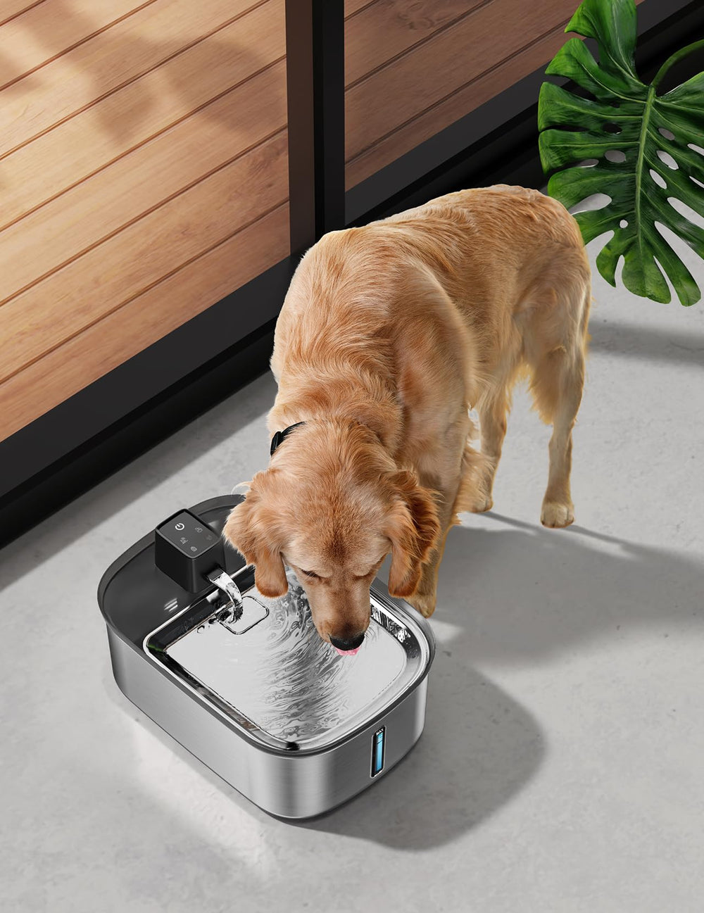 Chumajor ultra-silent design keeps the drinking area peaceful for pets and people.