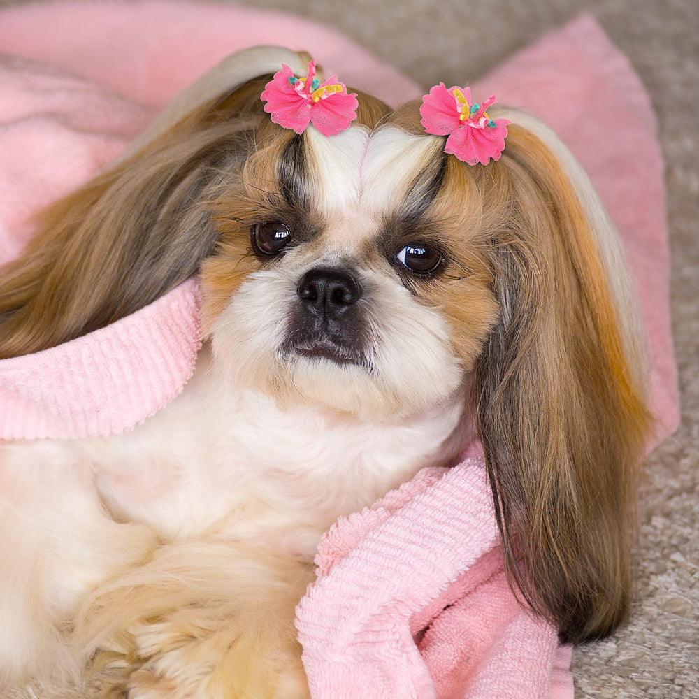 Chumia curly ribbon dots bows enhance pet costumes and photos