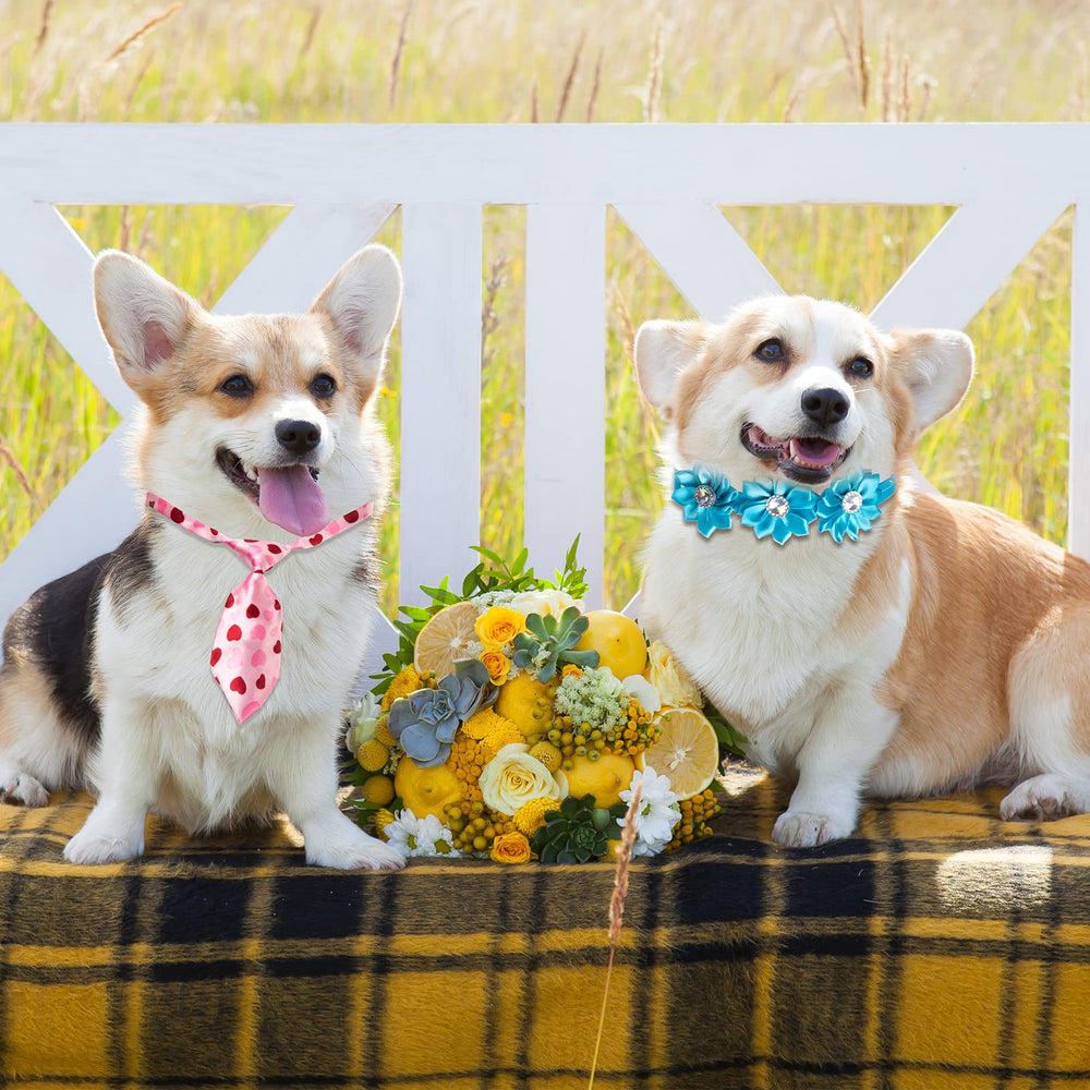 Chumia dog party collection helps dress up pets for events with confidence.