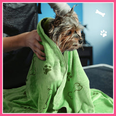 Chumia paw-print design towel adds playful drying for pets