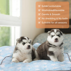 Chumia pet blanket on sofa showing furniture protection and comfort