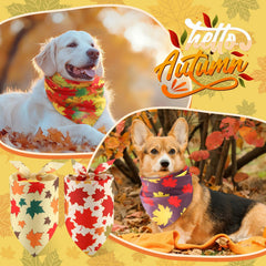 Chunful autumn colors dog bandana collection adds seasonal style to pets' outfits.