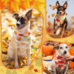Chunful dog bandana size 80x55cm shows generous fit for medium to large dogs.