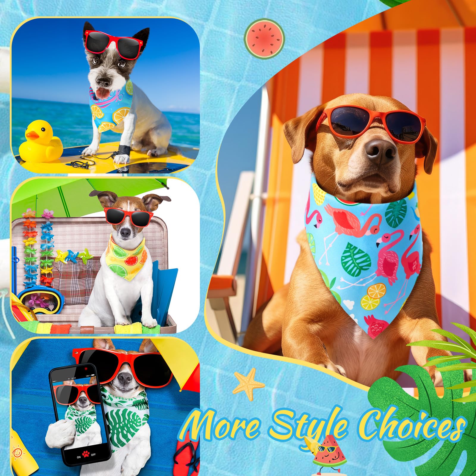 Chunful versatile accessory collection for pet photo ops and family outings