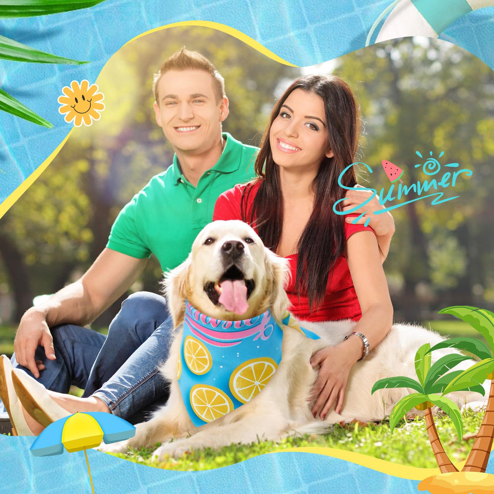Chunful colorfully assorted dog bandanas ideal for quick outfit changes