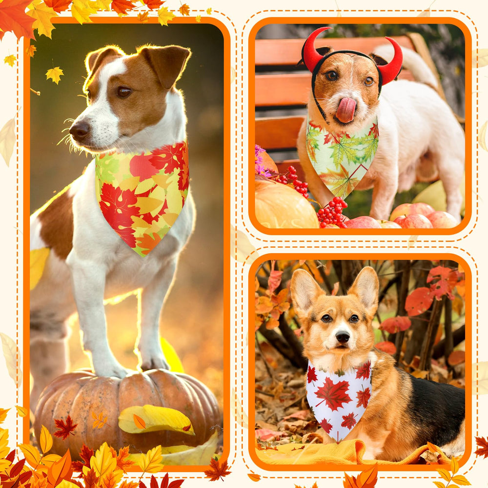 Chunful fall photoshoot bandana on a happy pet during autumn walk
