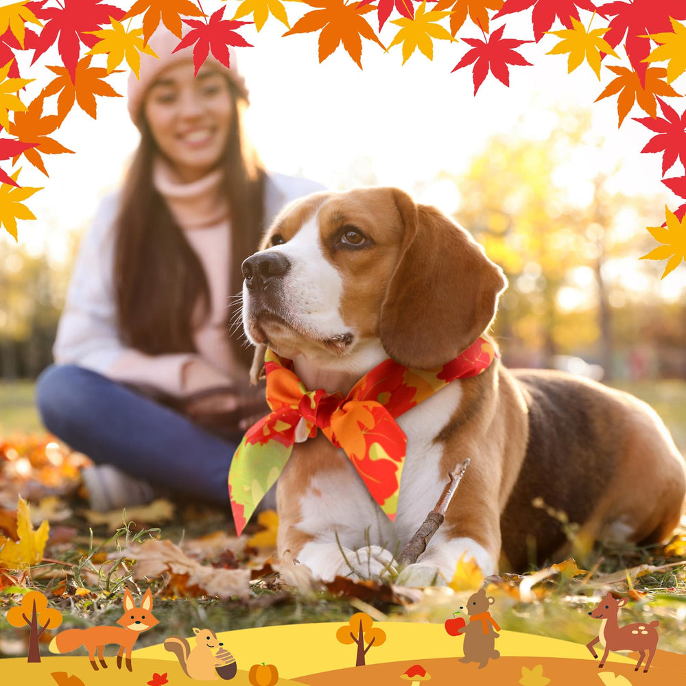 Chunful bandana on dog creates a cute festive look.