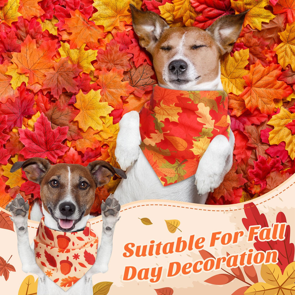 Chunful pumpkin design bandana adds seasonal charm for pet photos.