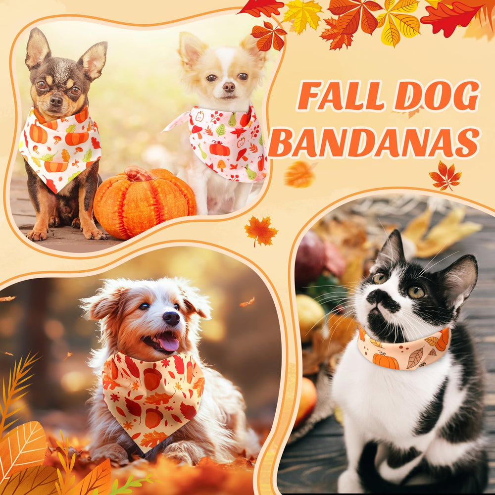 Chunful pumpkin-pattern bandanas stay bright after repeated wear