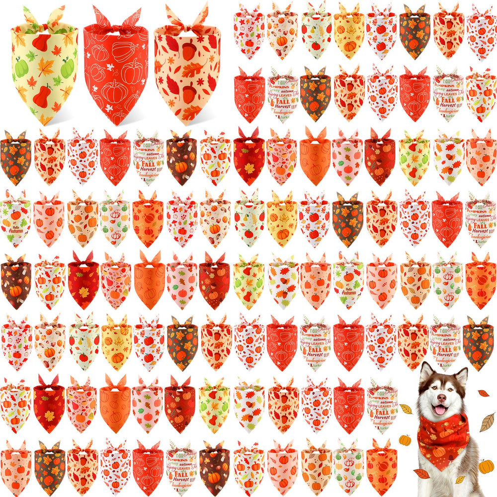 Chunful pumpkin-pattern bandanas on dogs for festive fall photos.
