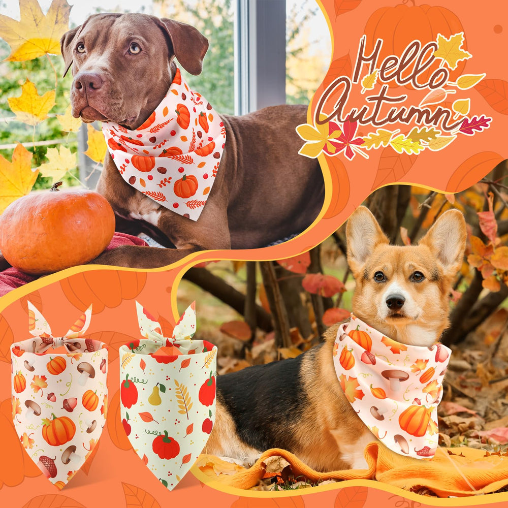 Chunful autumn dog bandanas keep pets comfortable on chilly walks.