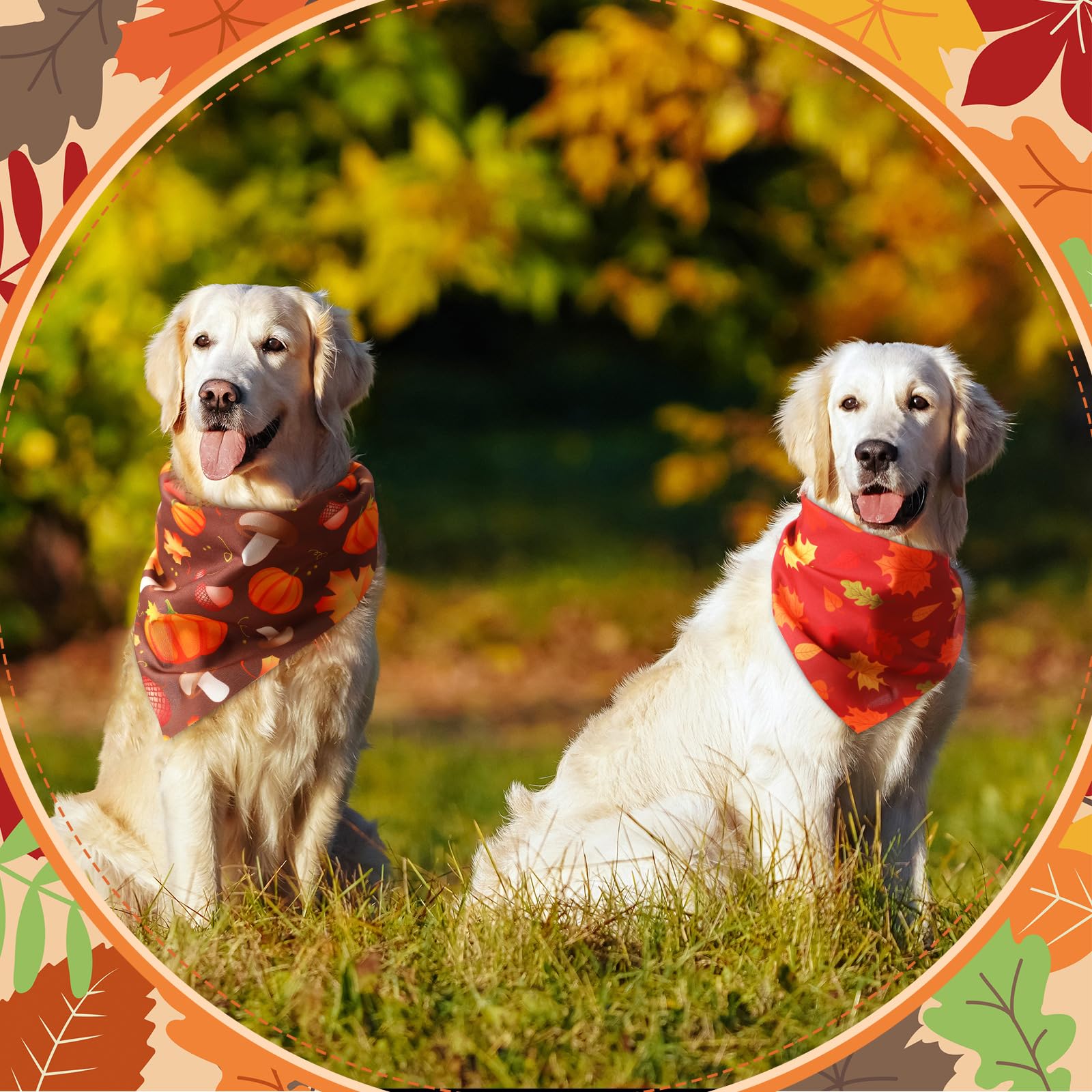 Chunful pumpkin-pattern bandanas boost festive photos and styling.