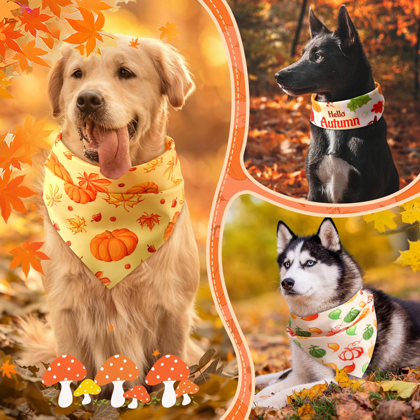 Chunful 100-piece bundle supports festive outfits for shared joy.