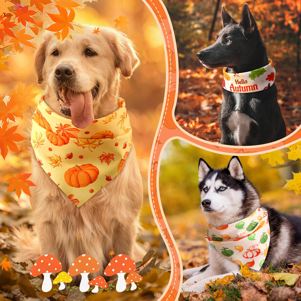 Chunful 100-piece bundle supports festive outfits for shared joy.