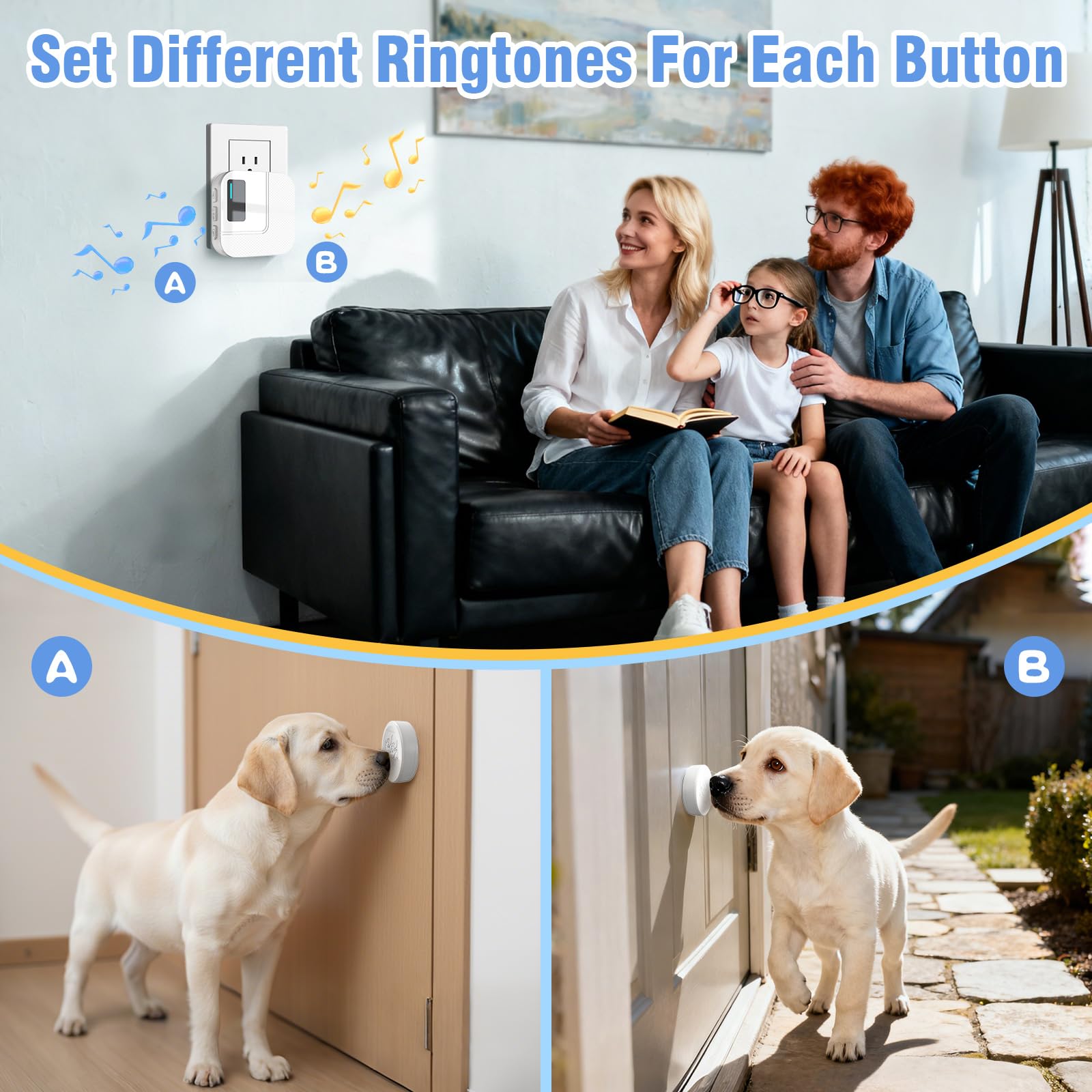 ChunHee touch-to-ring button for easy dog signaling.
