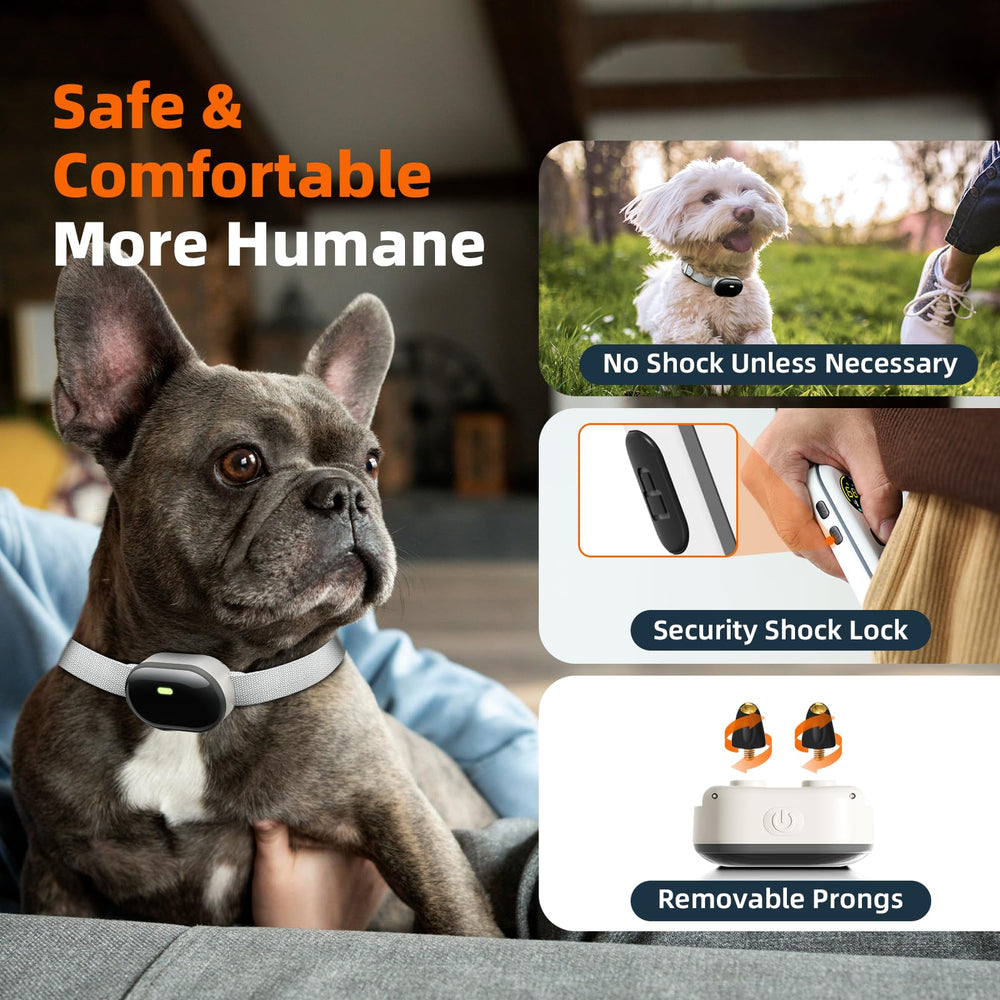 Chupolik compact lightweight collar visible on a small dog during walks