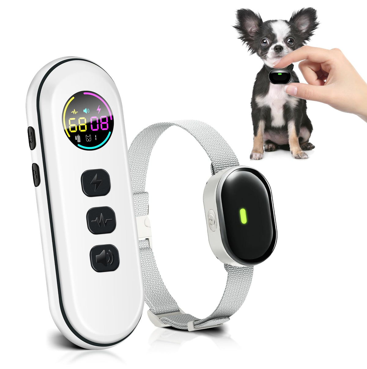 Chupolik ultra-small dog collar close-up shows slim profile for comfortable wear