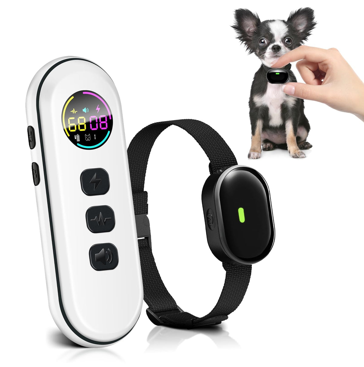 Chupolik ultra-small collar demonstrates compact design for comfortable wear on tiny dogs.