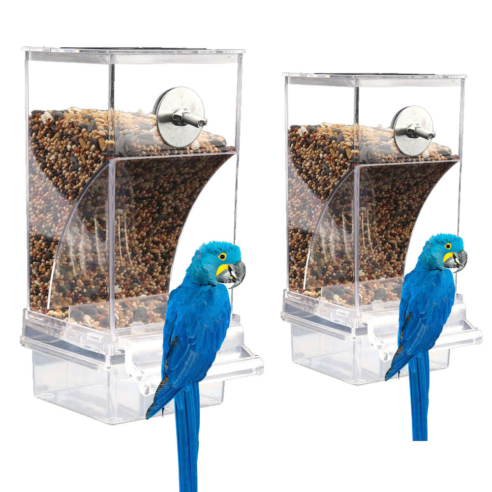 ChuyuAn transparent design supports quick monitoring of seed levels and feeding patterns