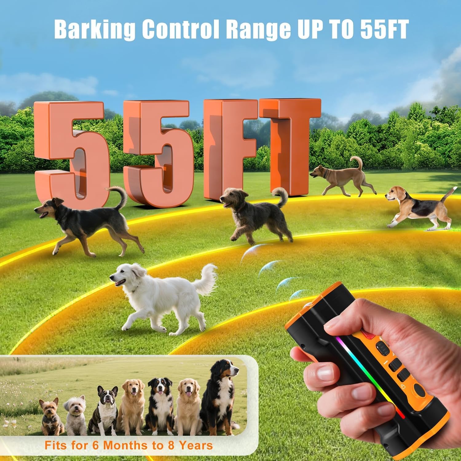 Chwwen dog bark deterrent 3x-head-design showcases multi-angle reach for versatile training.