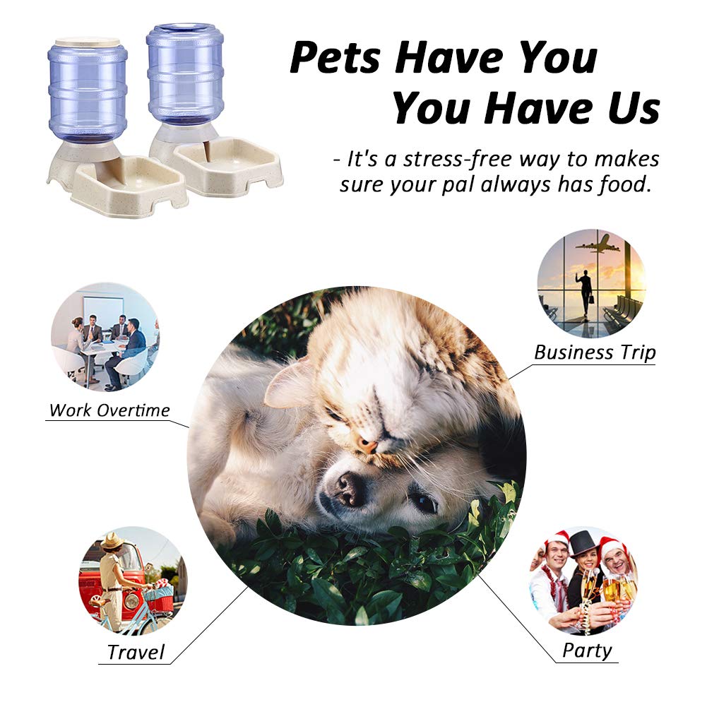 Ciconira decor-friendly pet feeder setup blends with home décor