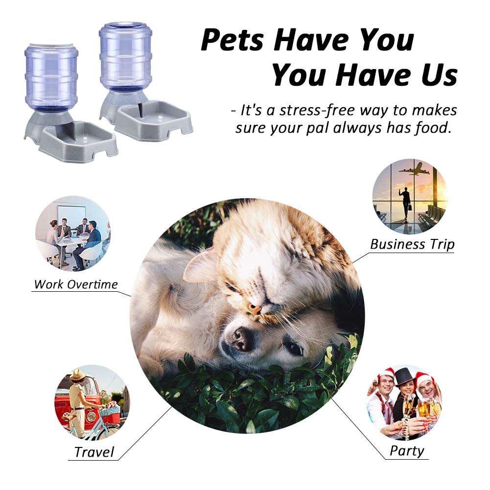 Ciconira includes a 1-gallon water dispenser and 3.8L feeder for versatility.