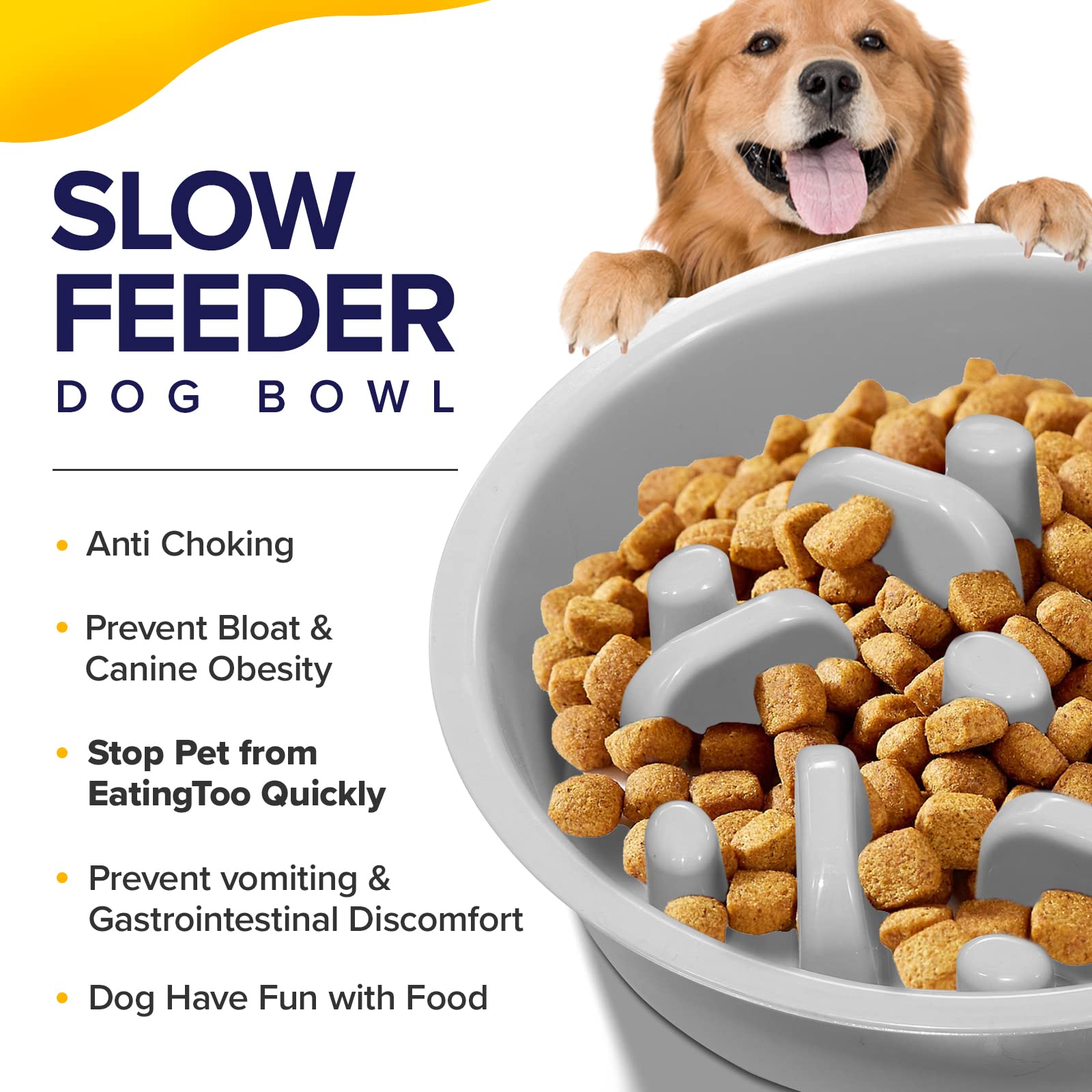 Ciconira slow feeder included to pace meals.