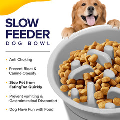 Ciconira slow feeder included to pace meals.