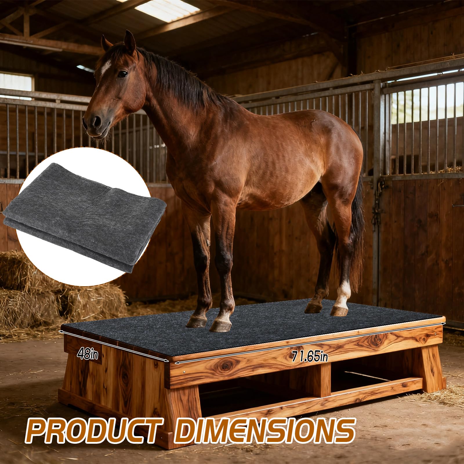 CIEOVO stall mat absorbent surface demonstrates moisture control in stalls