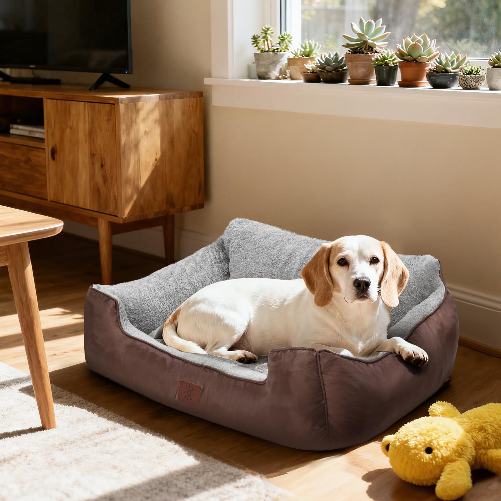 CIESMSI brown rectangle bed blends into home decor