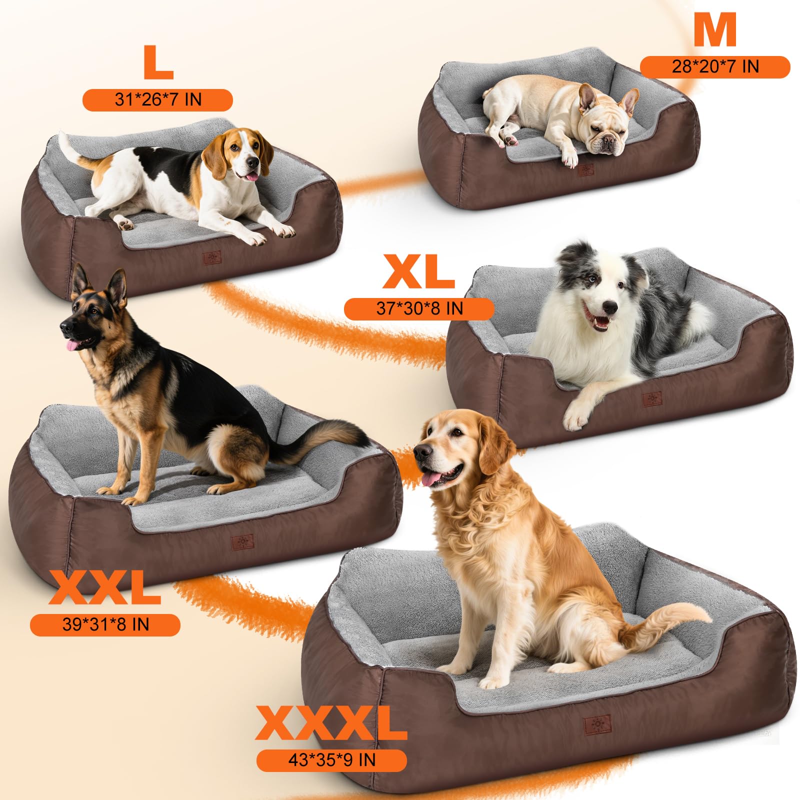 CIESMSI size guide image showing fit for growing pets
